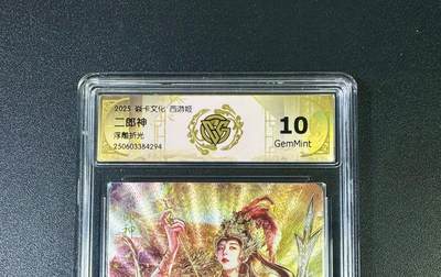 NO.11 好又多金牌大场强势回归，一站式配齐，方便凑单！（周6晚6点半截拍，卖家送拍0抽成！）  - 焱卡 西游姬 二郎神 浮雕折光 10G