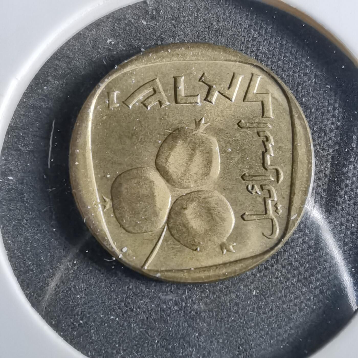 沼泽如烟--第859场 以色列