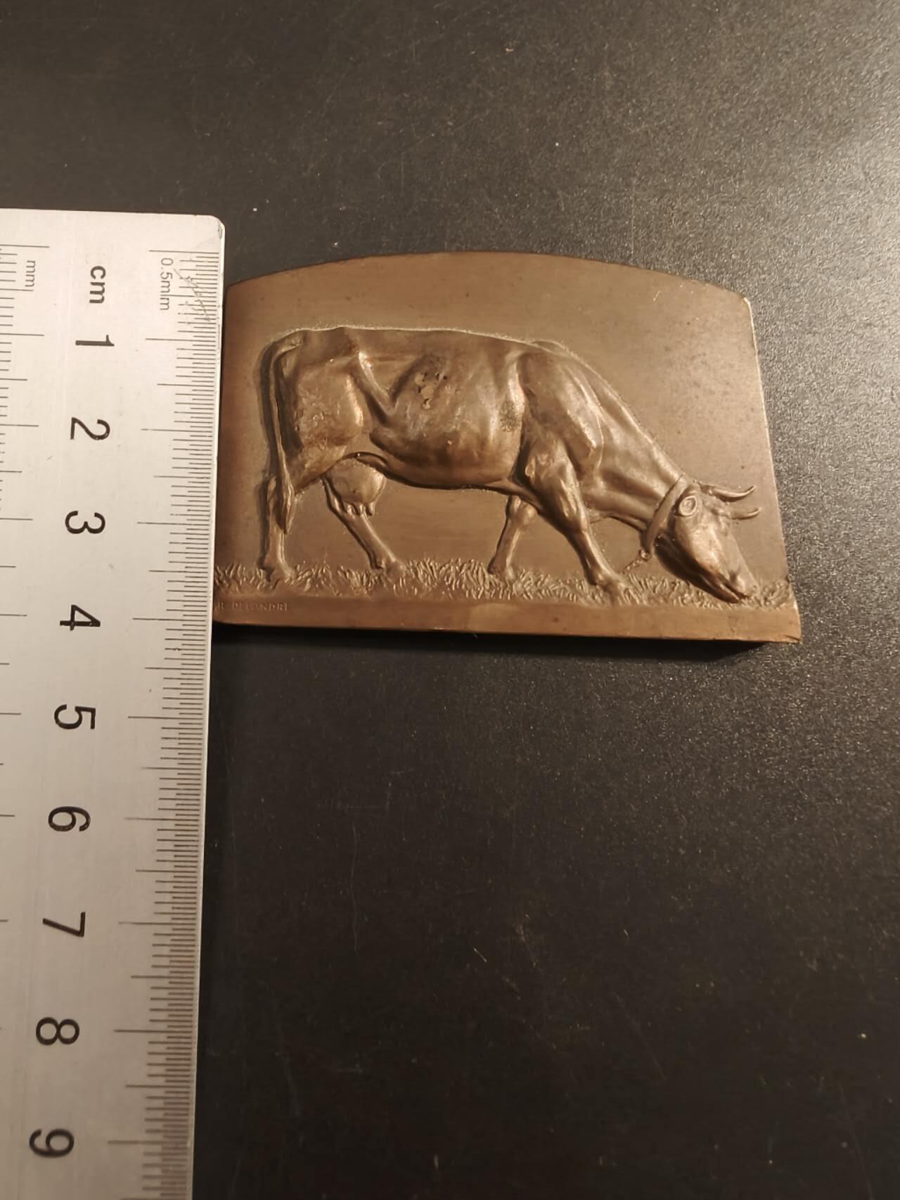 老王徽章第154期 法国索姆市农业协会方形大铜章     尺寸60×40mm.   重量115.5g