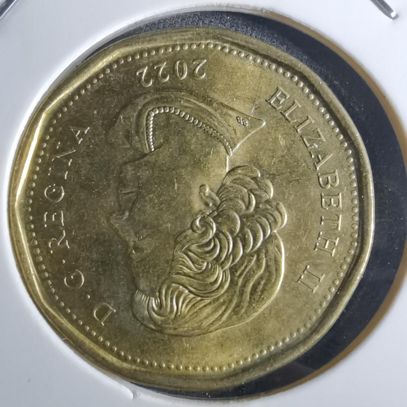 沼泽如烟--第860场 加拿大2022年一元