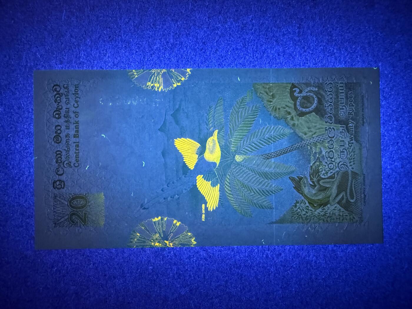 《艾美收藏》第214期-10.7周二国庆外币超白金场 锡兰20卢比 UNC 1979年鸟版 无47