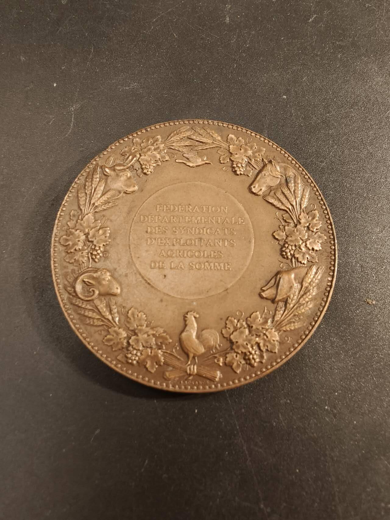 老王徽章第154期 法国索姆市农业协会协会大铜章 直径50mm 重量66.3g 