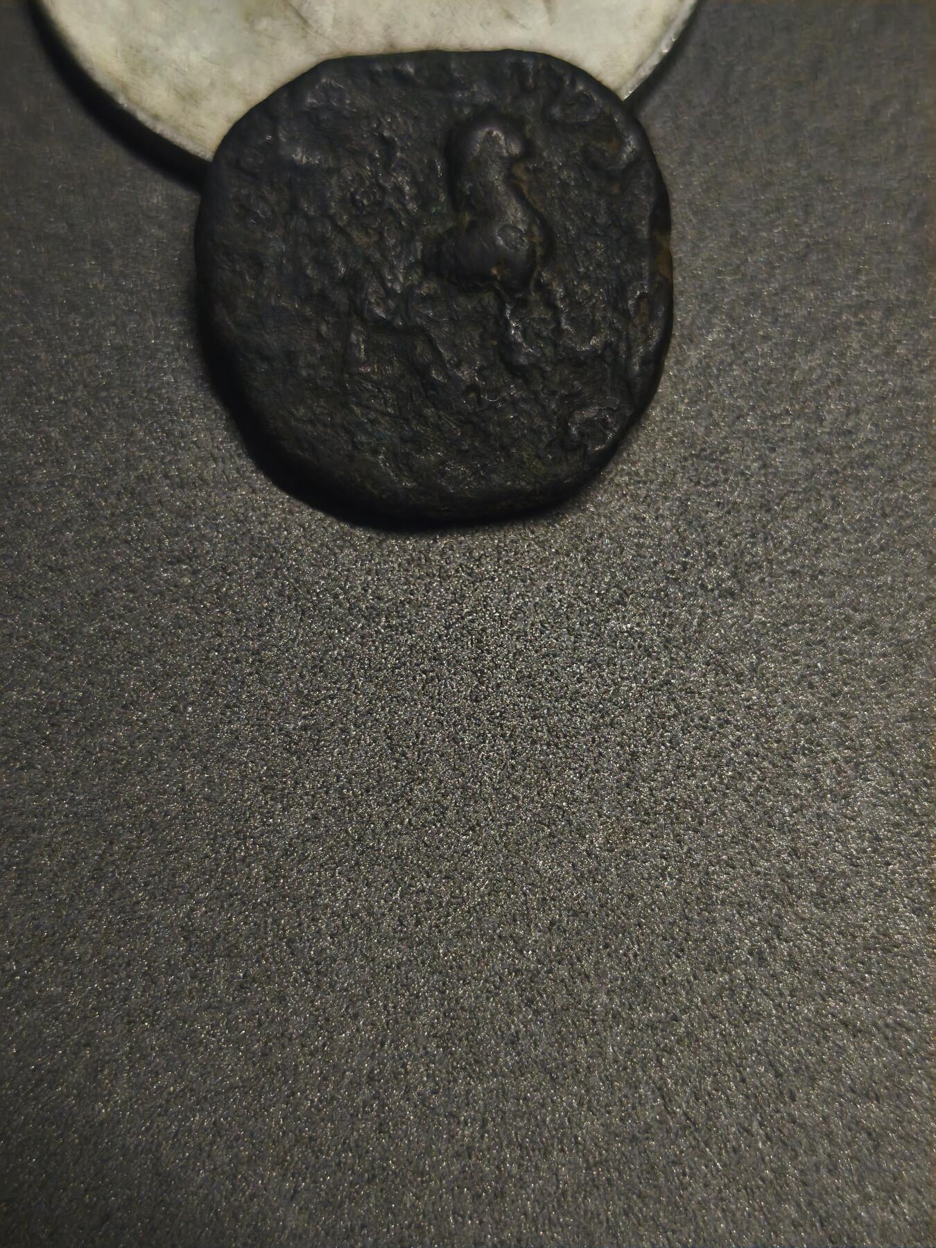 印塞克瘤牛铜币