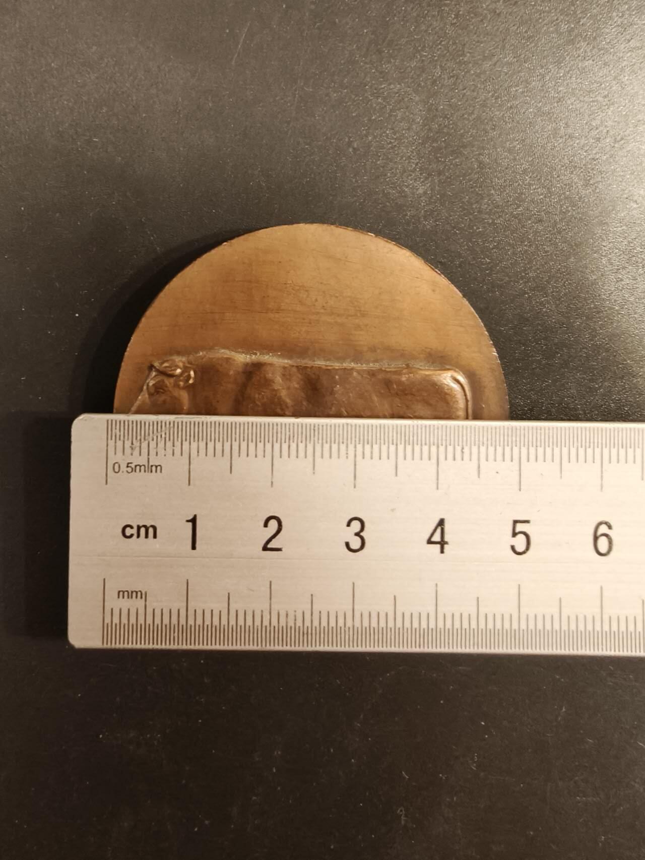 老王徽章第154期 法国参议院赠大铜章    直径50mm.    重量60g