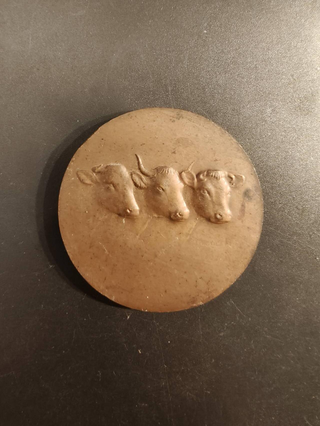 老王徽章第154期  法国众议院议员赠大铜章 直径50mm 重量66.3g