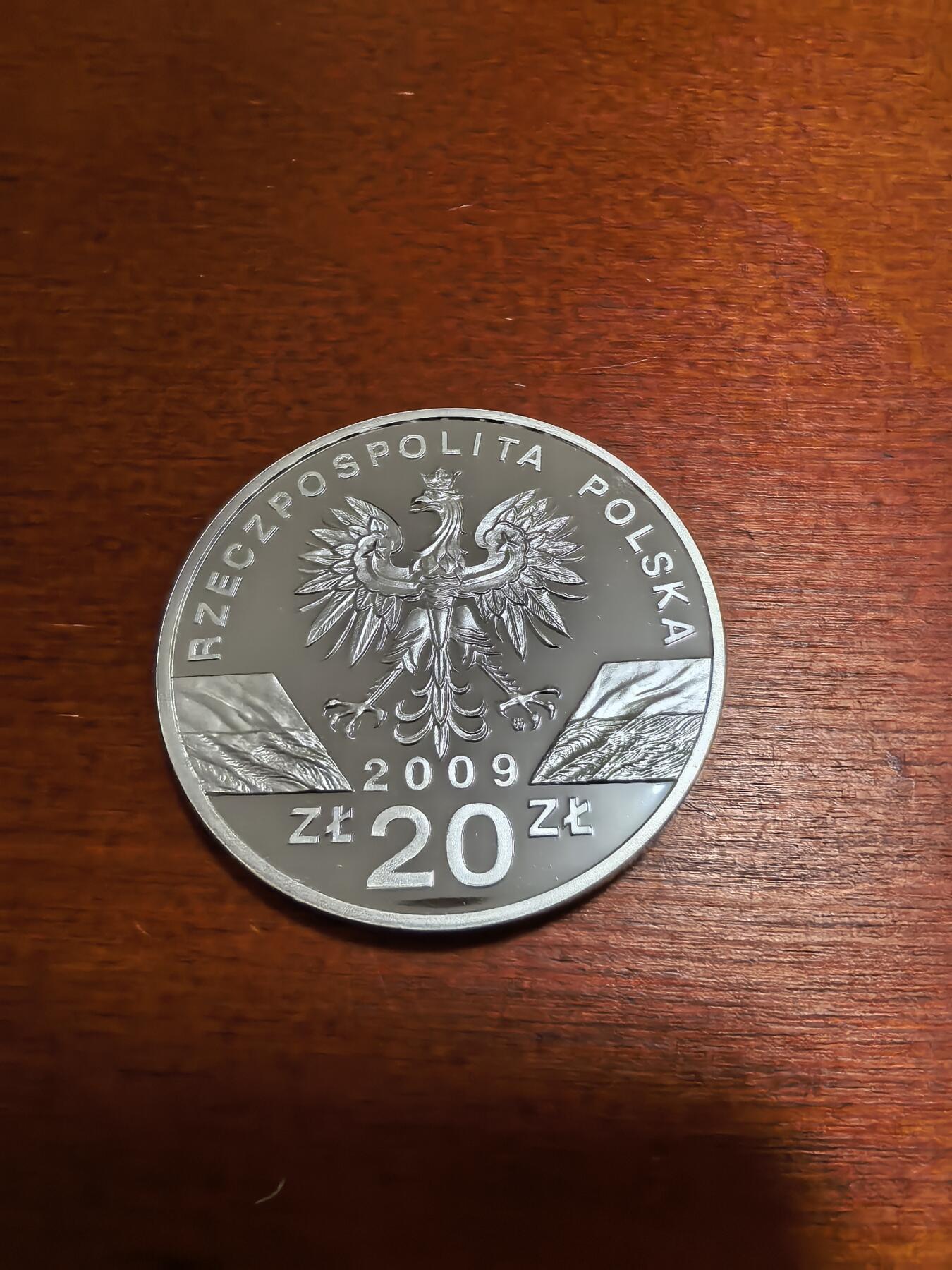 长老汇蛇年精选第五十七场拍卖 2009波兰欧洲绿蜥20兹罗提精制银币，28.28克925银