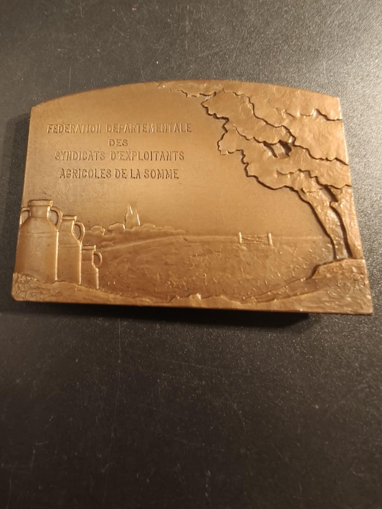 老王徽章第154期 法国索姆市农业协会方形大铜章     尺寸60×40mm.   重量115.5g