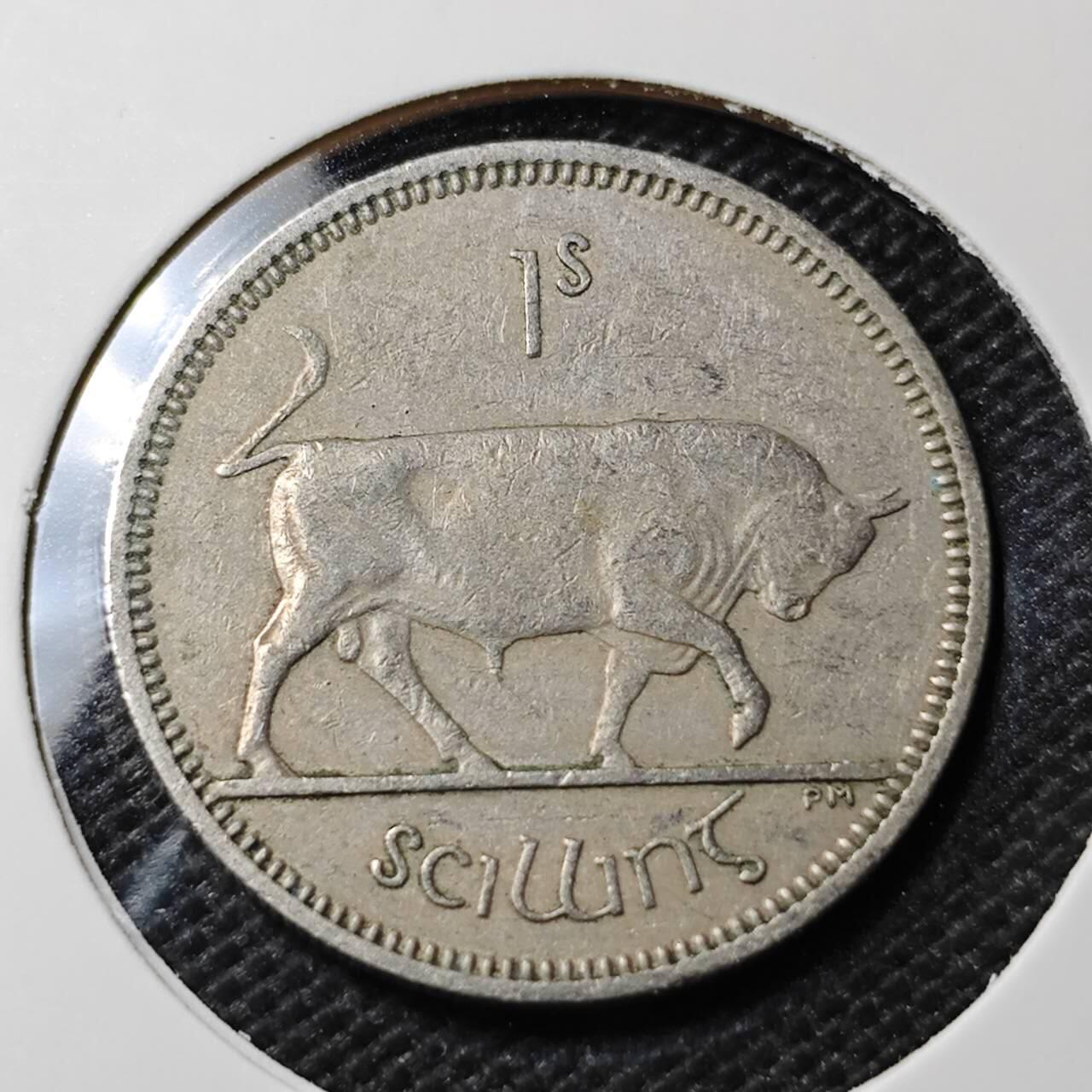 KK钱币收藏小铺 第354场 2月预留时间 周末发货 1962 爱尔兰1先令