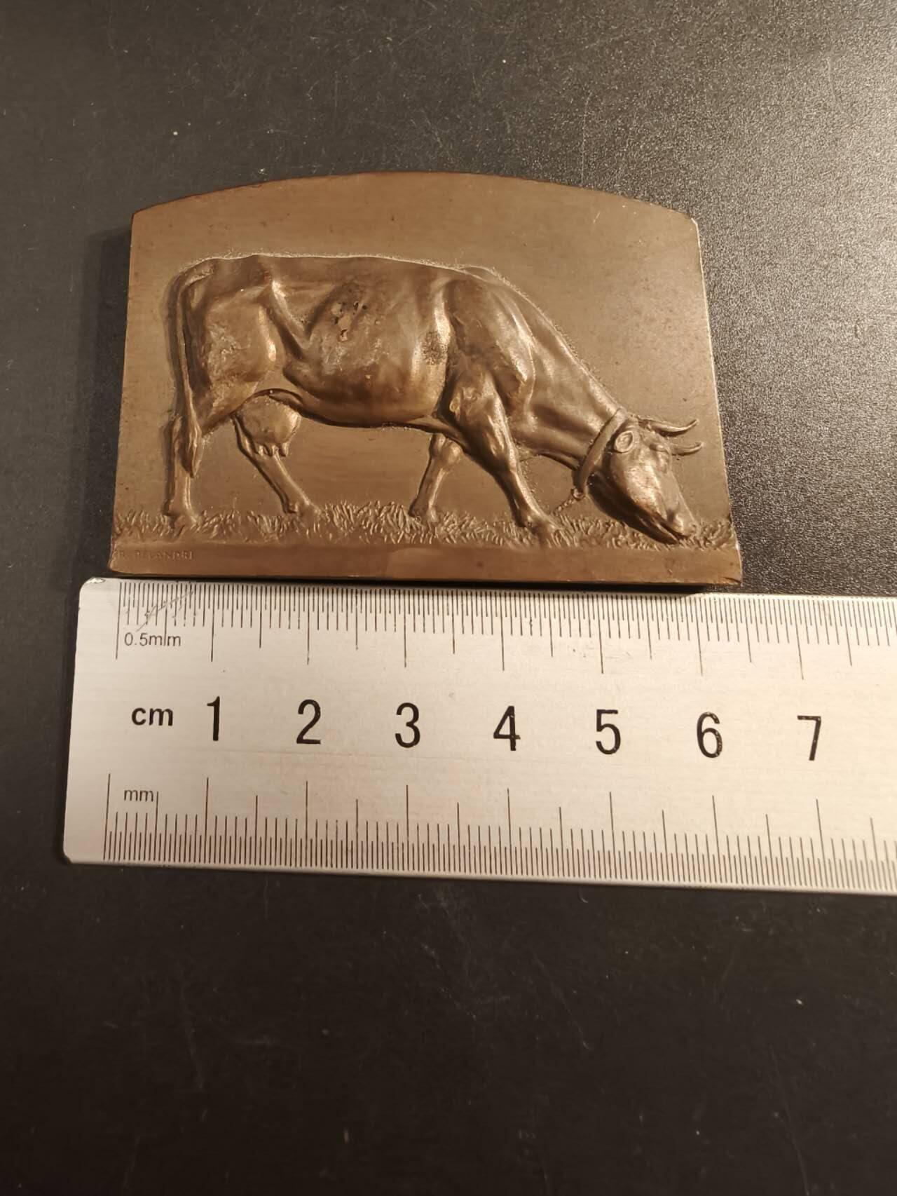 老王徽章第154期 法国索姆市农业协会方形大铜章     尺寸60×40mm.   重量115.5g