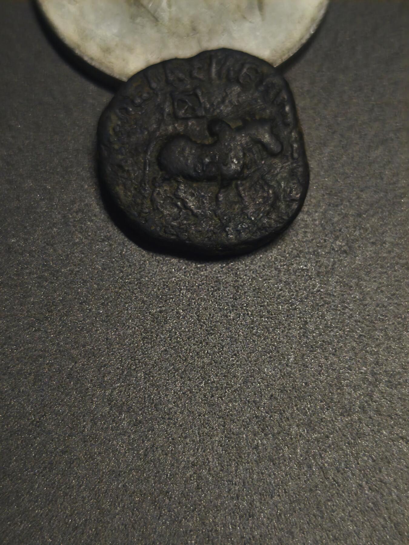 印塞克瘤牛铜币