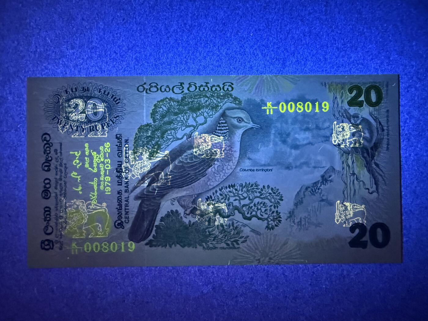 《艾美收藏》第214期-10.7周二国庆外币超白金场 锡兰20卢比 UNC 1979年鸟版 无47
