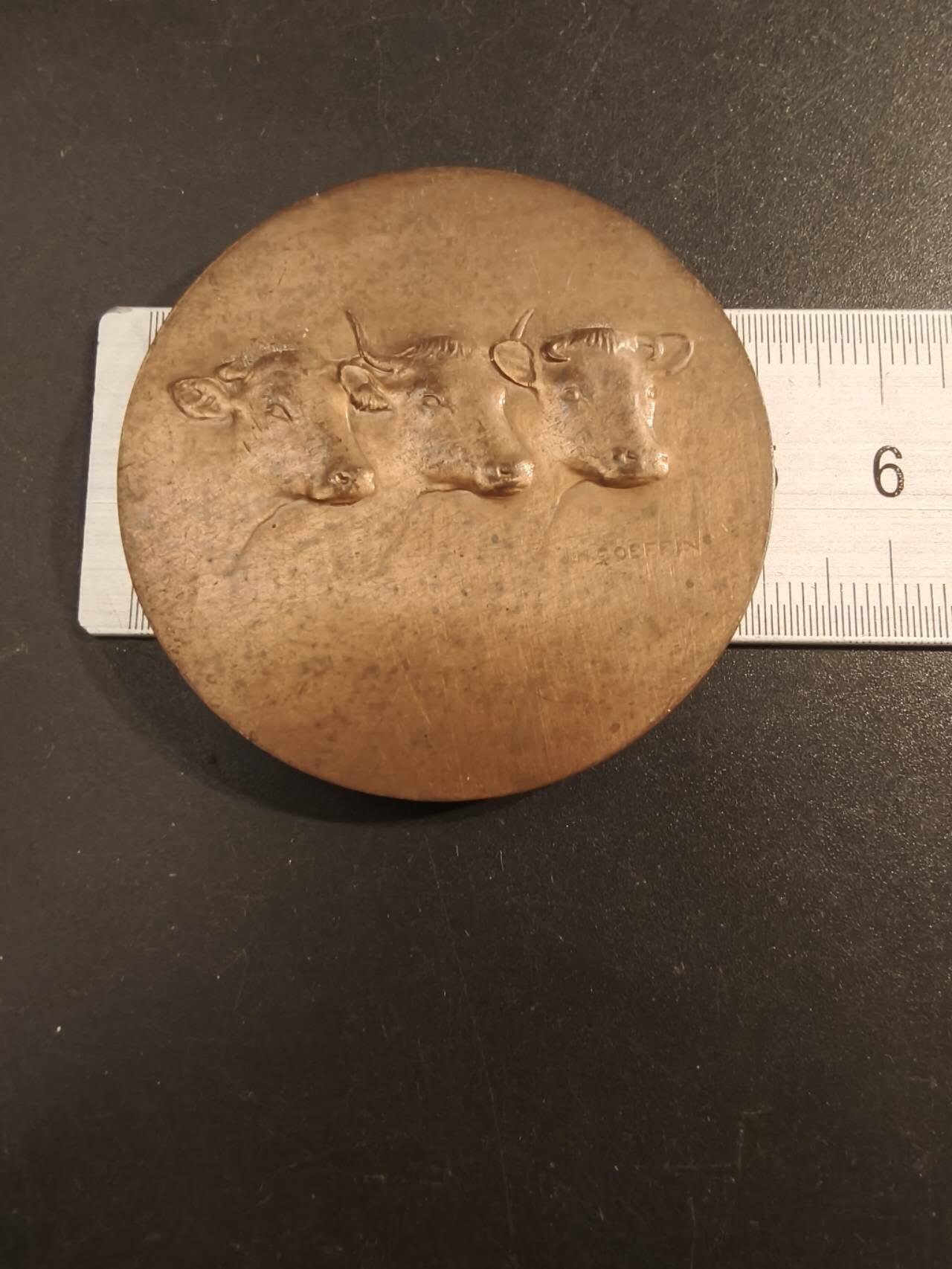 老王徽章第154期  法国索姆市农业协会协会大铜章 直径50mm 重量66.3g