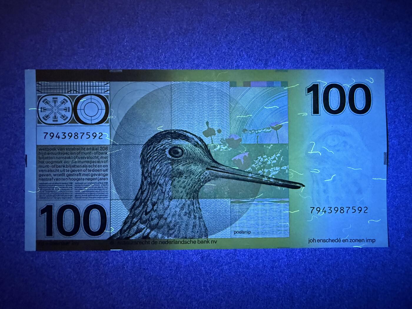 《艾美收藏》第214期-10.7周二国庆外币超白金场 荷兰100盾 AU 水鸟 有道不明显暗折