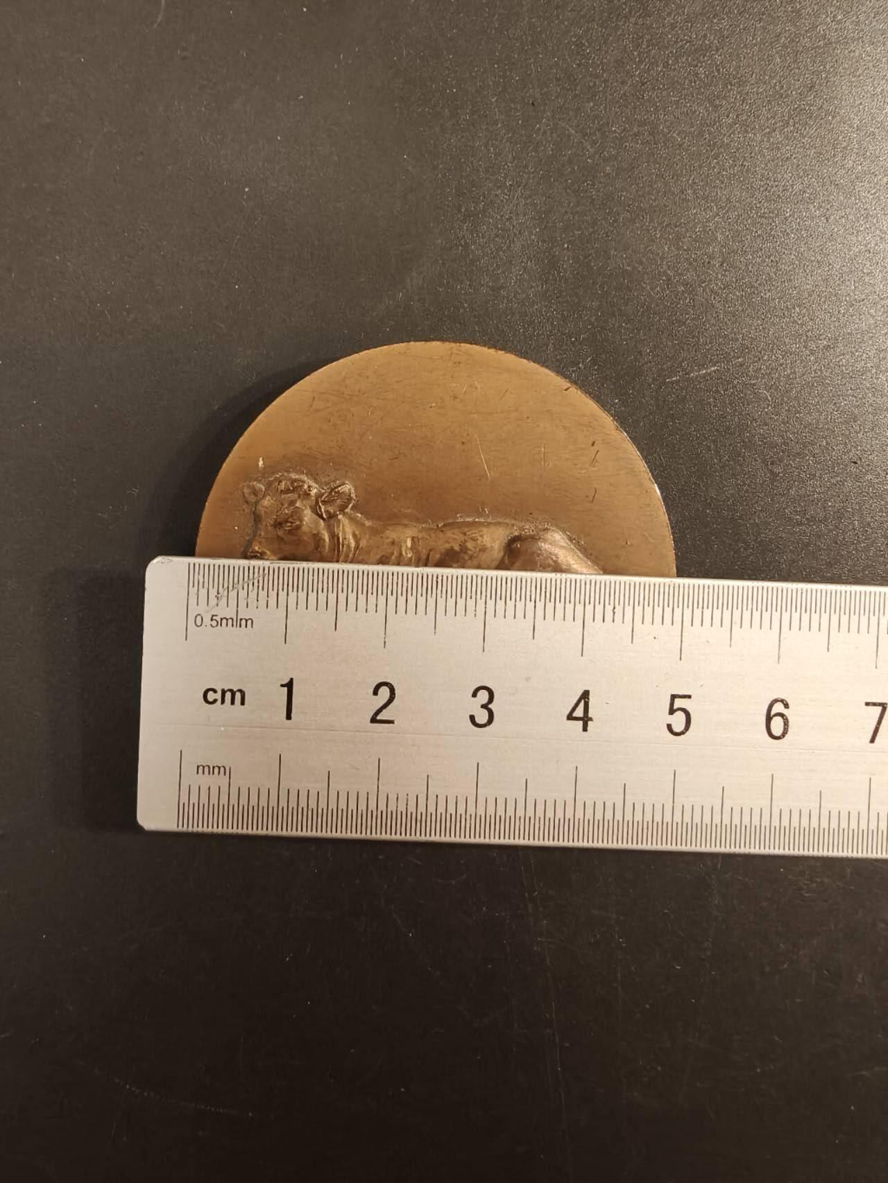 老王徽章第154期  法国参议员赠大铜章 农业主题 直径50mm 重量69.6g