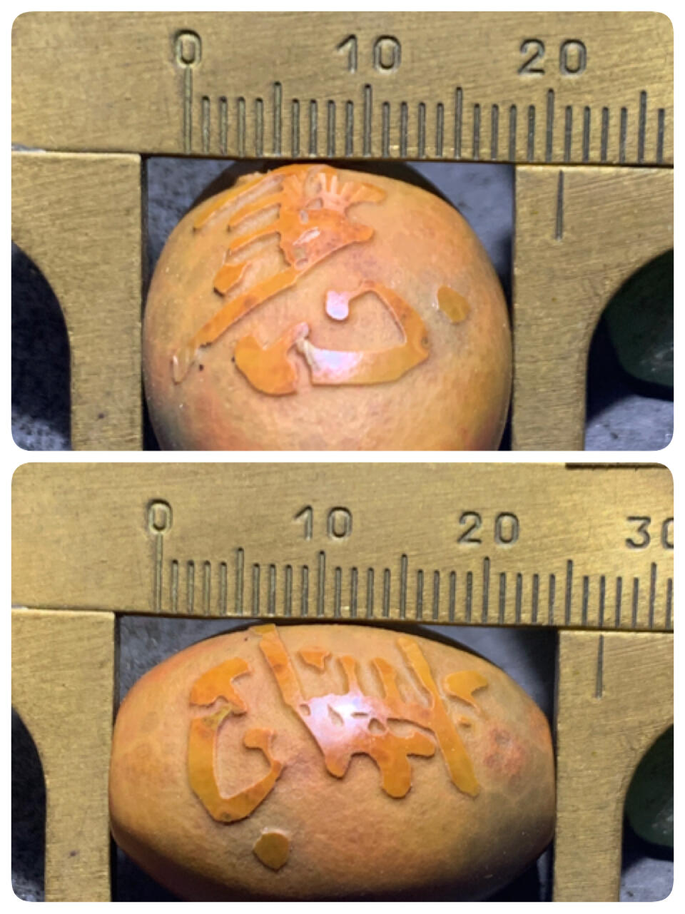 精美亚光鱼籽纹风化战国红玛瑙手工巧雕善恶勒子一颗！