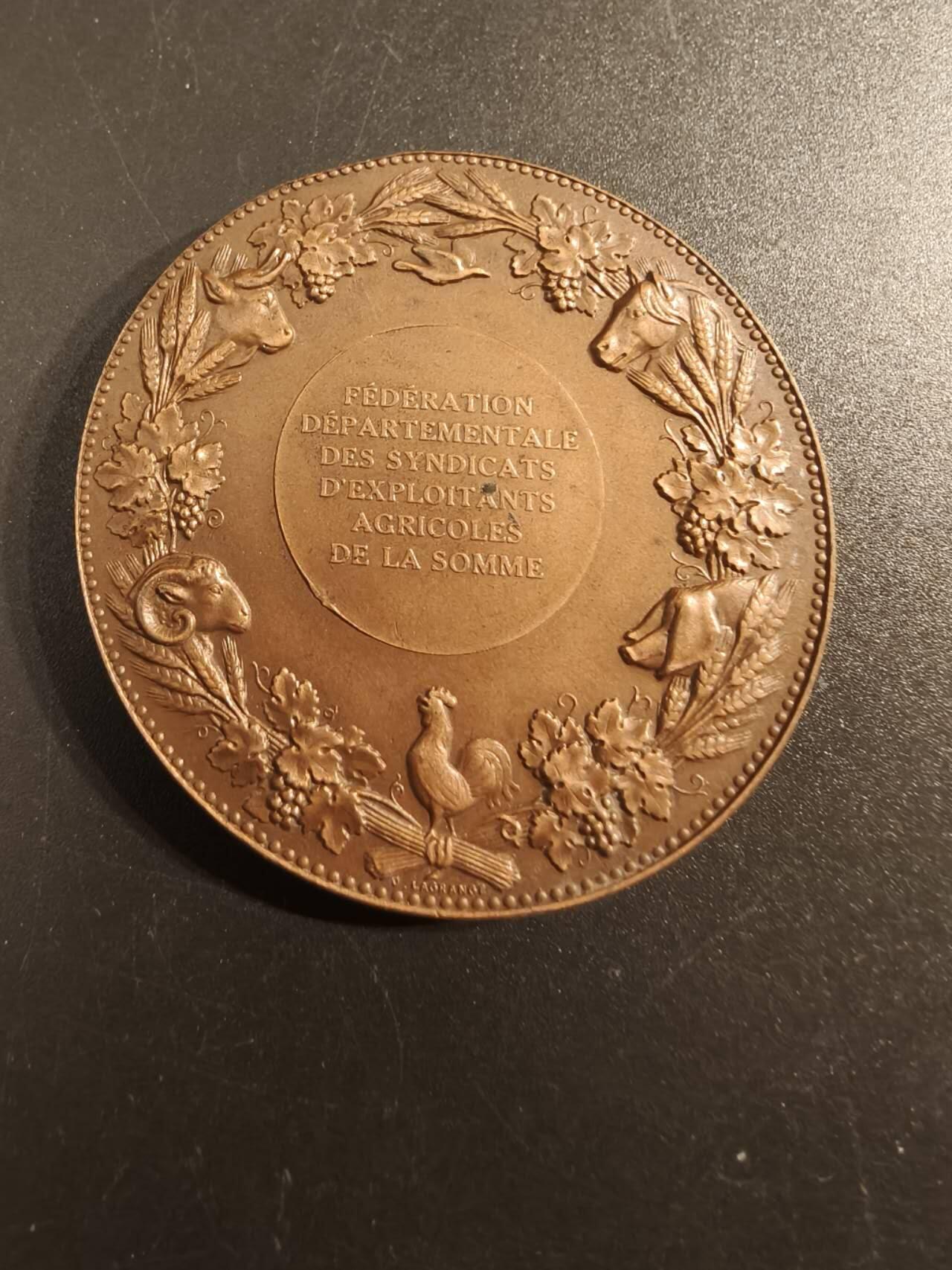 老王徽章第154期  法国索姆市农业协会协会大铜章 直径50mm 重量66.3g