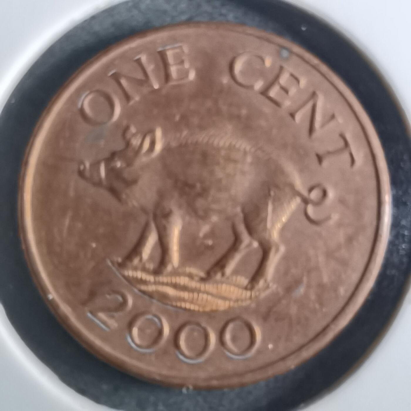 沼泽如烟--第860场 百慕大2000年一分