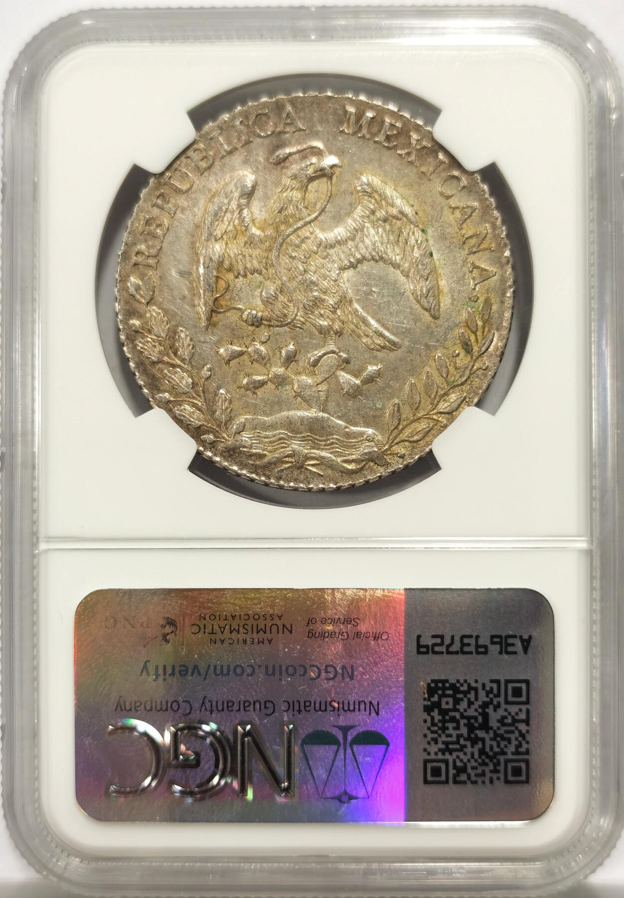 博洋堂世界钱币拍卖第142期（全场包邮） NGC MS61 墨西哥1881年MO MH版花边鹰洋，漂亮黄油包浆