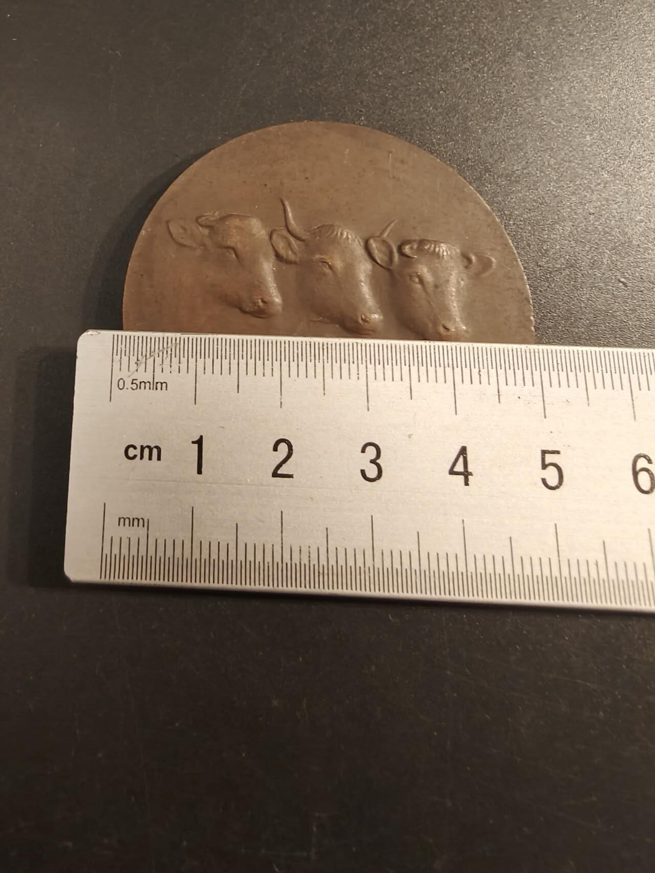 老王徽章第154期  法国索姆市农业协会协会大铜章 直径50mm 重量66.3g