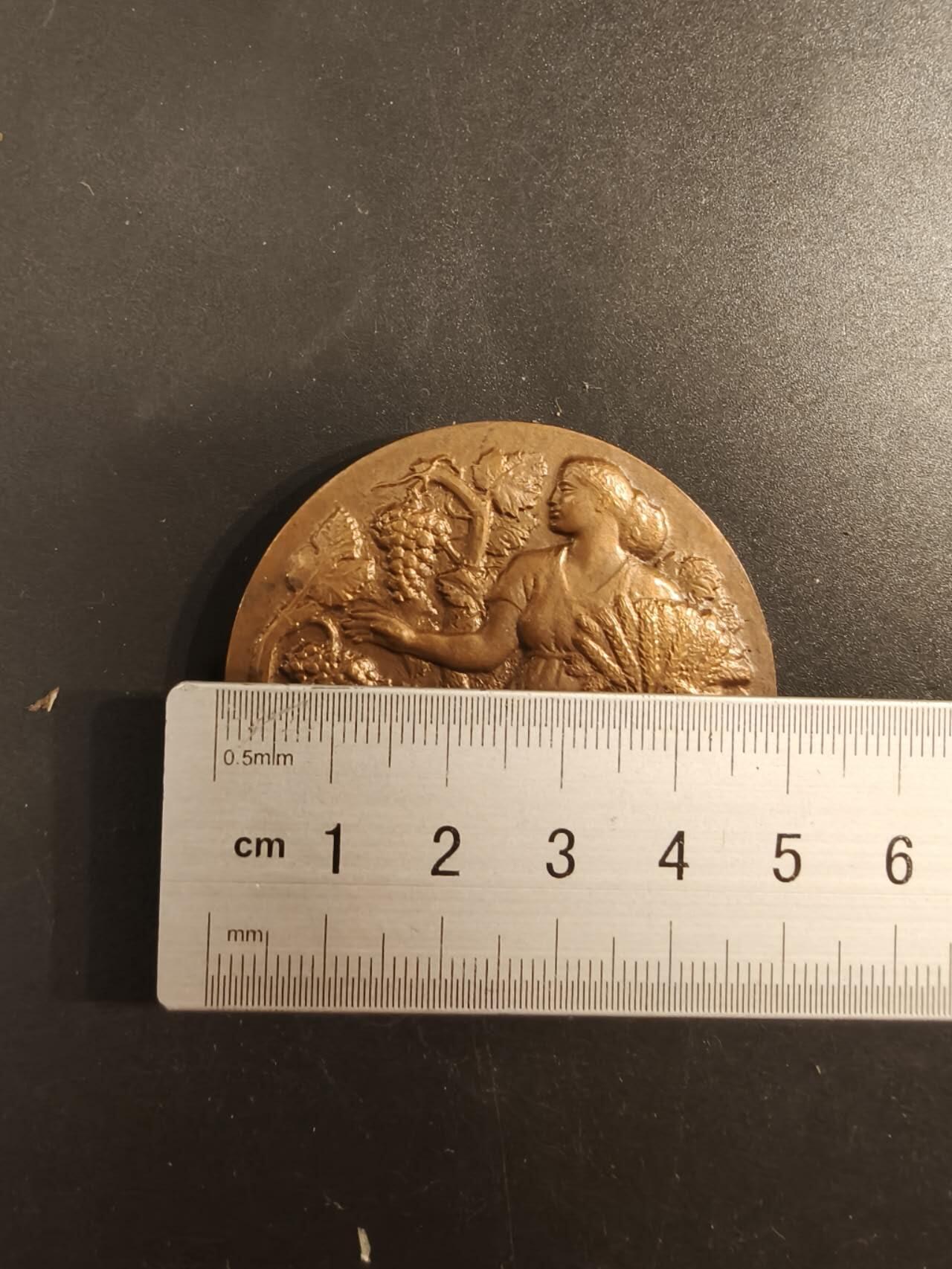 老王徽章第154期  法国农业协会农业竞赛大铜章     直径49mm    重量68.4g