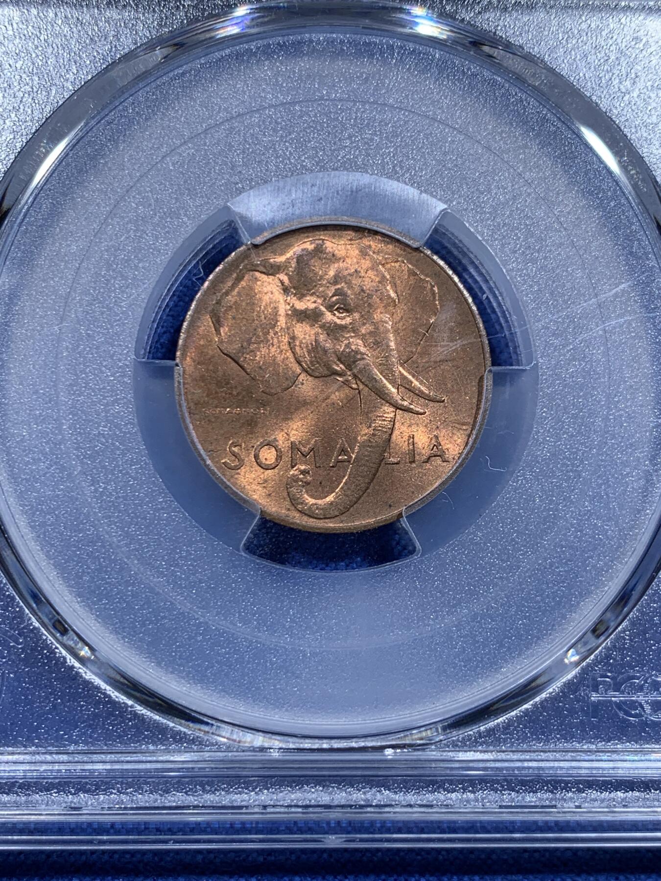 《竞宝斋》第425场 周日，周一  2场连拍 （全场包邮） NGC MS65RB 索马里1950年大象1分铜币