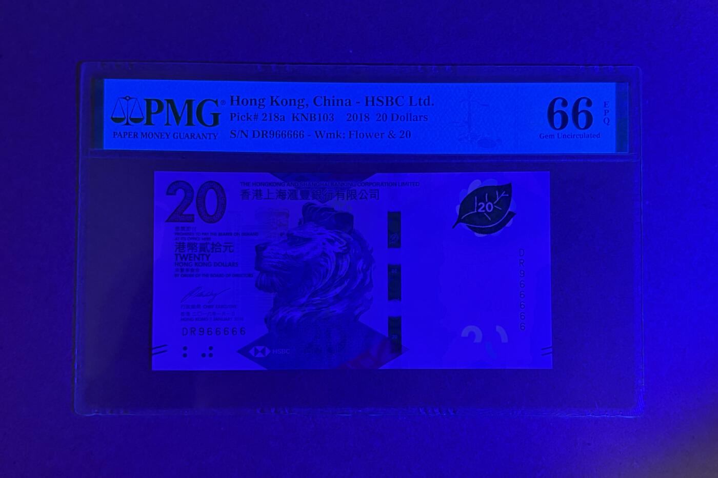 【丑猫1012】周日晚6点半 DR966666