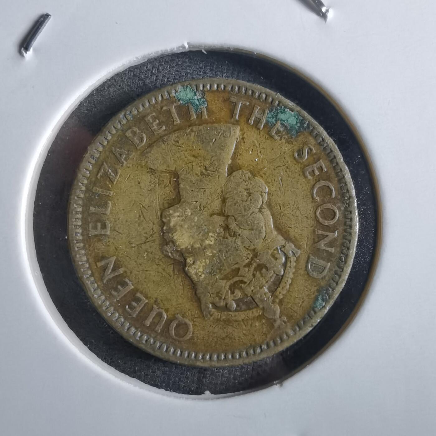 沼泽如烟--第862场 香港1955年一毫