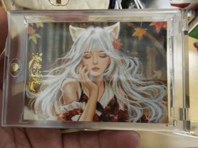 寸草不生拍卖会 第十期 - 漫若浮光 手绘 画师tandy
