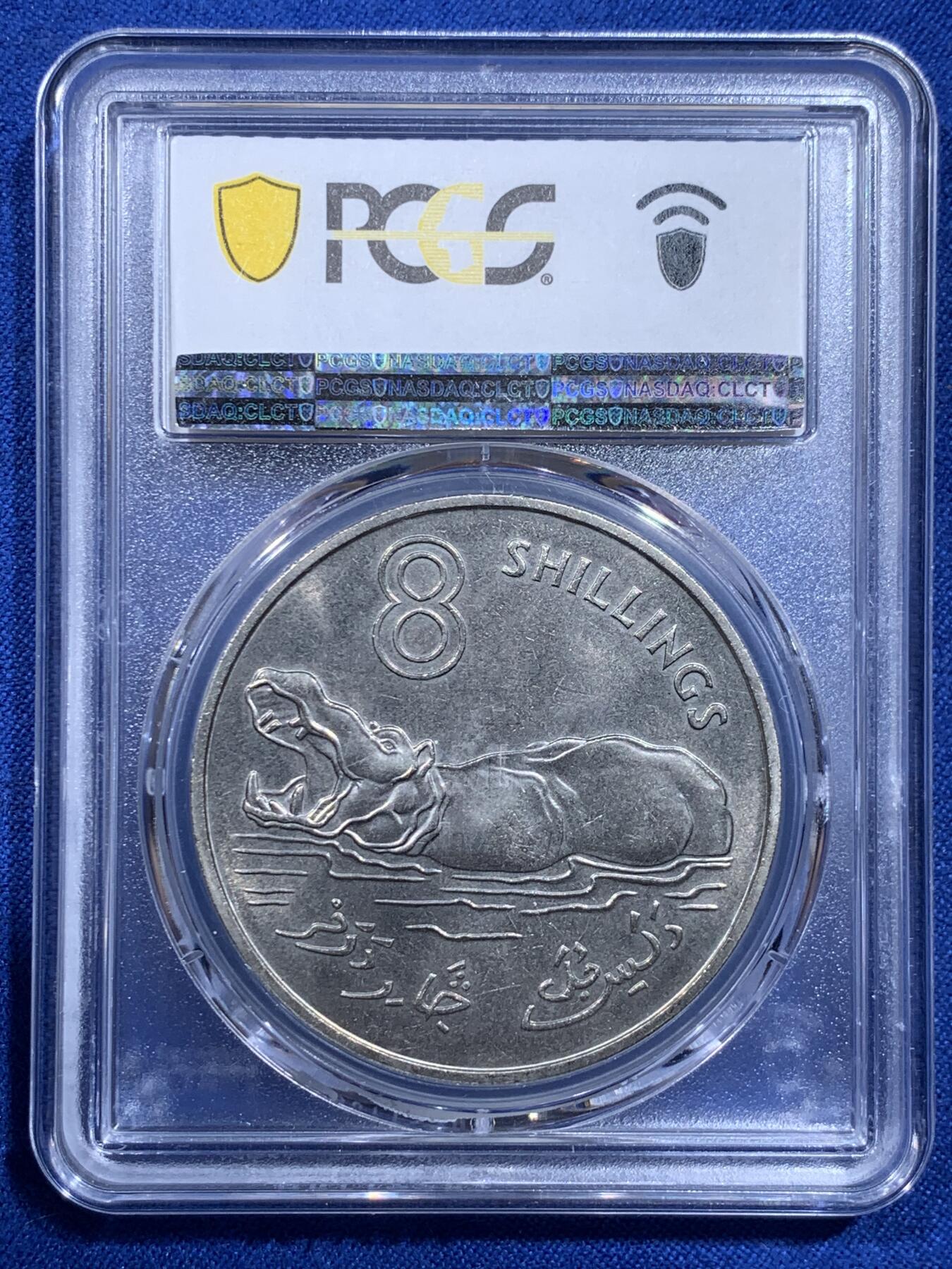 《竞宝斋》第426场 周日，周一  2场连拍 （全场包邮） PCGS MS65 季军分 冈比亚1970伊丽莎白女王8先令河马大镍币，厚重大规格，手感极佳。冈比亚首套流通硬币的最大面值。工艺原因很难出顶级高分。价格还在低位，潜力品种。