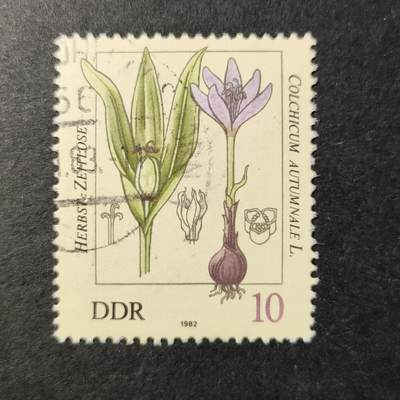 嘉禾收藏    【第340期】            无佣金、可寄存、满30元包邮 - 德国🇩🇪东德