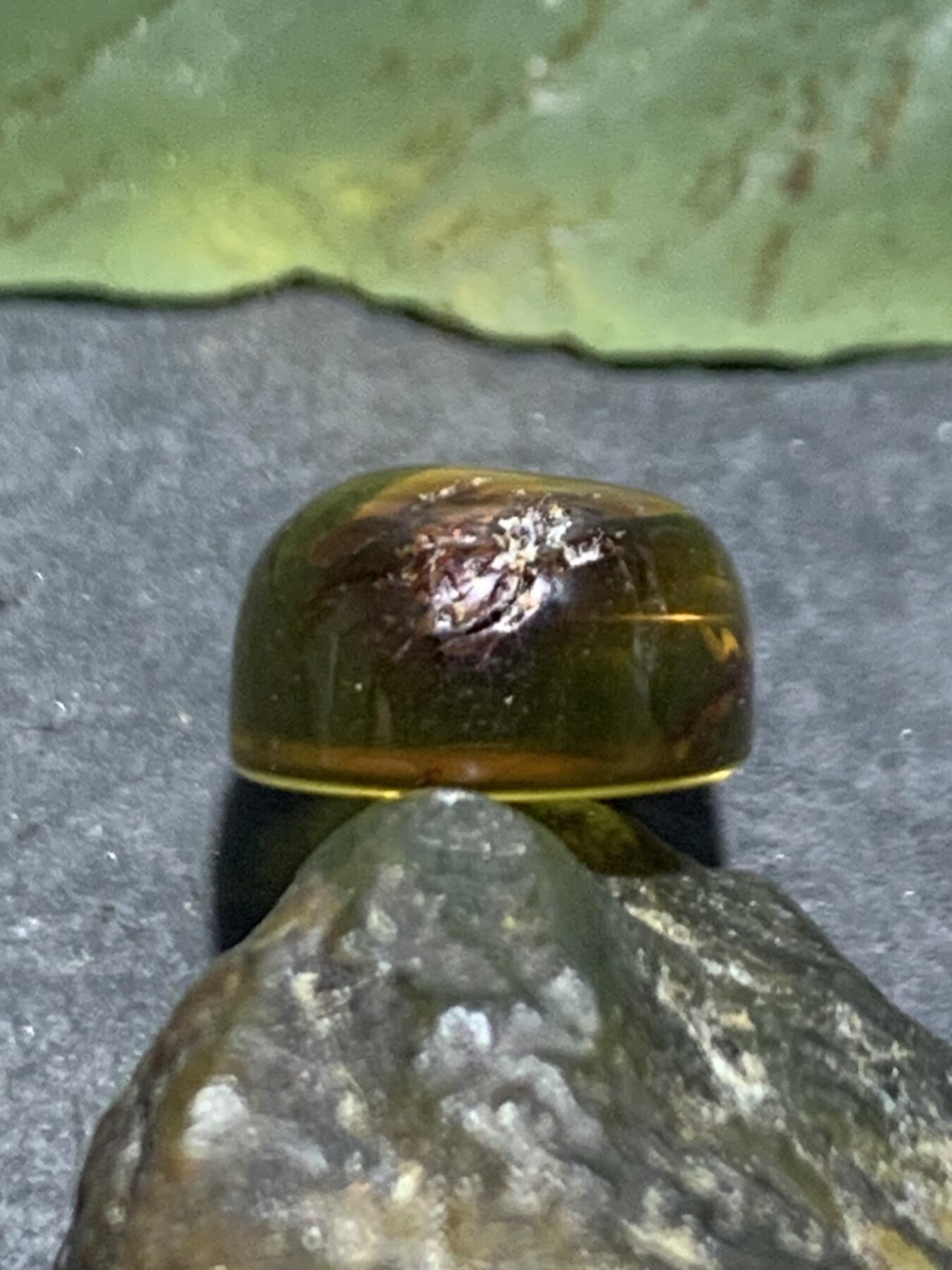 乌克兰花珀通货戒面一个，