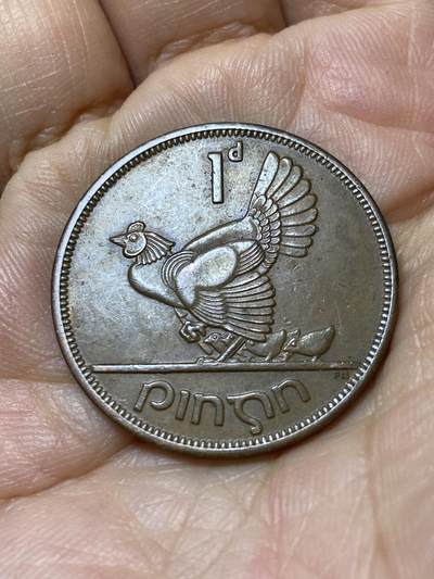 2025年第一百零五场(总第一百三十一场）外国好品散币(免佣金) - 爱尔兰🇮🇪1950年1便士(共和国时期第一套)