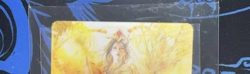 夜之极第三十二期 （10月7日周二晚9点截拍，欢迎竞拍） 燎原 神孙尚香 动态光栅