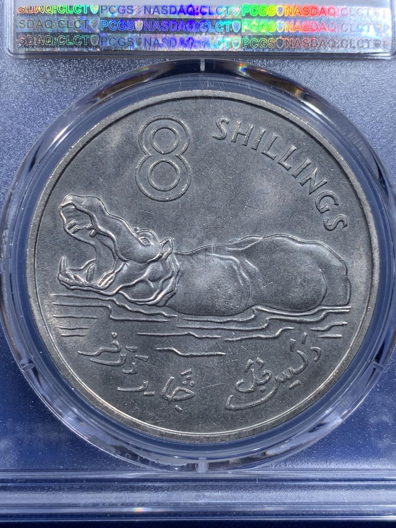 《竞宝斋》第426场 周日，周一  2场连拍 （全场包邮） PCGS MS65 季军分 冈比亚1970伊丽莎白女王8先令河马大镍币，厚重大规格，手感极佳。冈比亚首套流通硬币的最大面值。工艺原因很难出顶级高分。价格还在低位，潜力品种。
