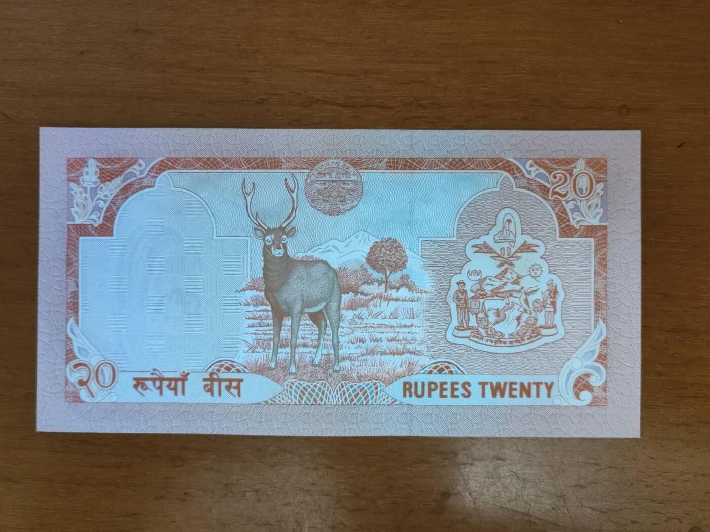 外国纸币专场251011第五十七场 尼泊尔🇳🇵2000年20卢比，全新品相UNC。