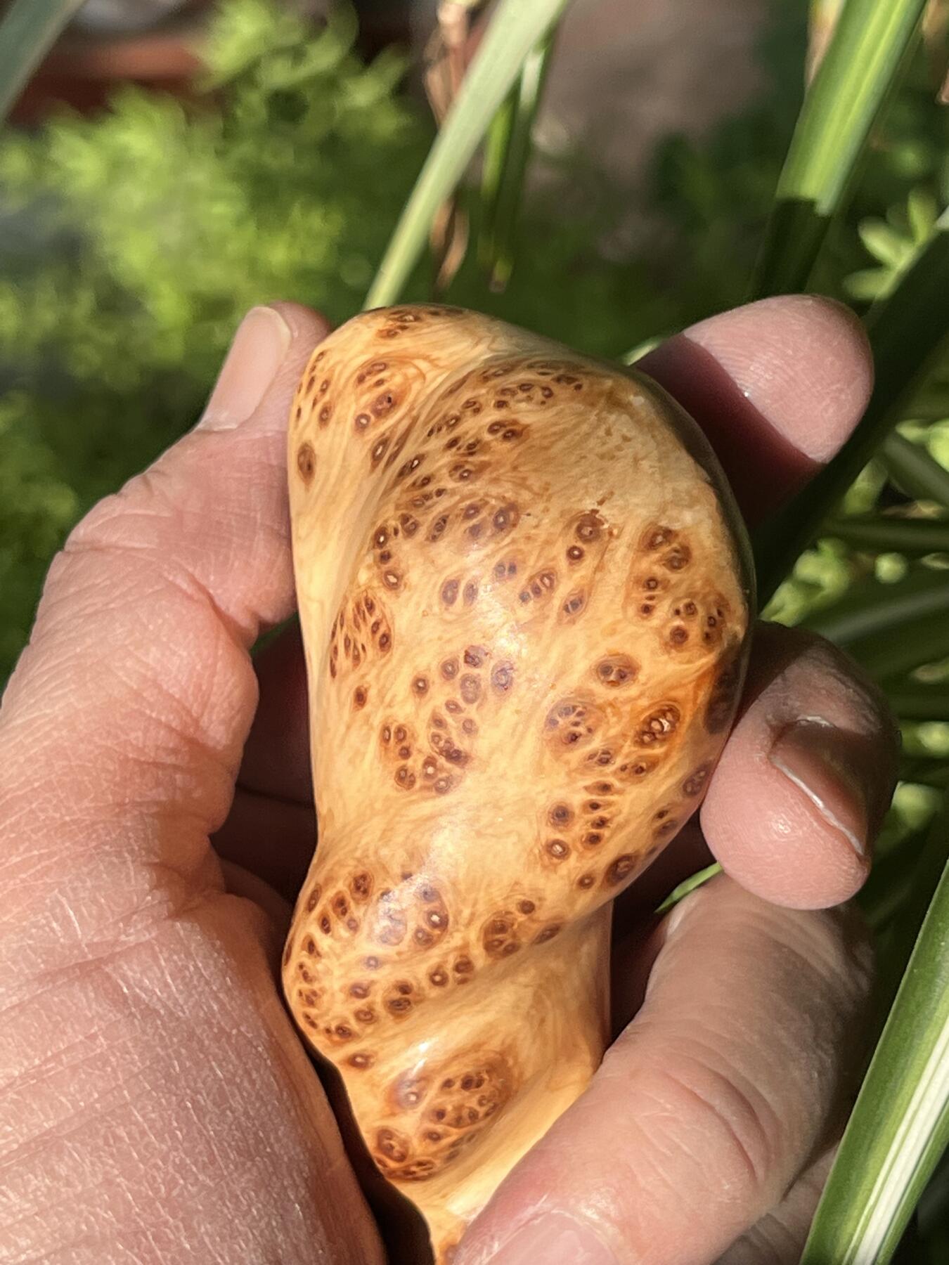 零元拍：崖柏瘤花随型手把件，十年前的存货了，油性极大。因为没有盘玩过，里面的油脂都渗出来了，收到后切记一定戴手套盘玩