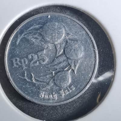 沼泽如烟--第866场 - 印度尼西亚1993年25卢比