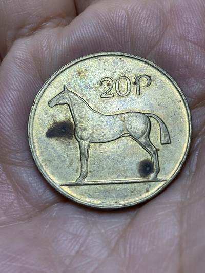 2025年第一百零五场(总第一百三十一场）外国好品散币(免佣金) - 爱尔兰🇮🇪1988年20便士(共和国时期第二套)