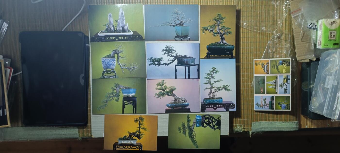 如意轩第二十一场（国庆中秋场）含送拍品 1982年广东旅游出版社发行盆景明信片10张