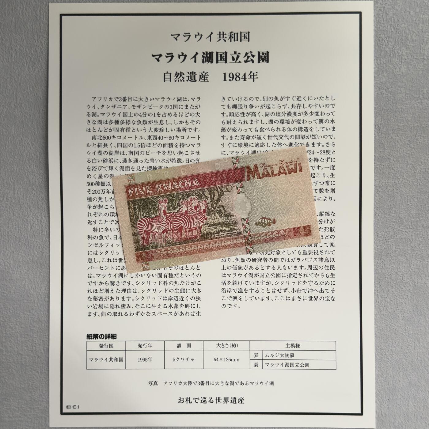 ＜小葵钱铺＞第62期·纸币场·满200包邮，不寄存·13号发货 UNC 马拉维1995年马拉维湖国家公园5克瓦查纸币〈附对应纸币的世界文化遗产海报和介绍〉