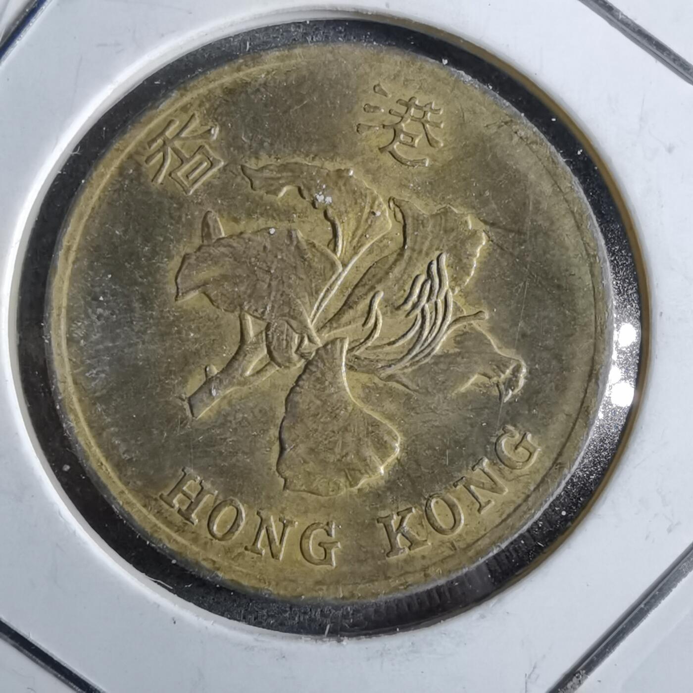沼泽如烟--第863场