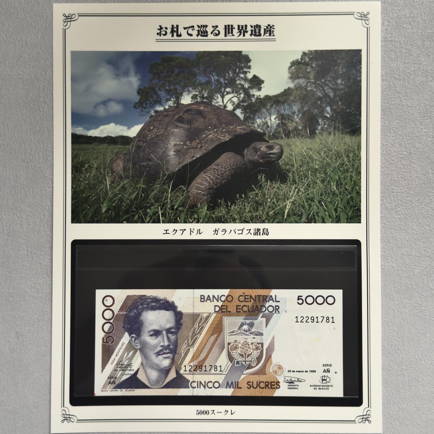 ＜小葵钱铺＞第62期·纸币场·满200包邮，不寄存·13号发货 UNC 厄瓜多尔1999年加拉帕戈斯群岛5000苏克雷纸币〈附对应纸币的世界文化遗产海报和介绍〉