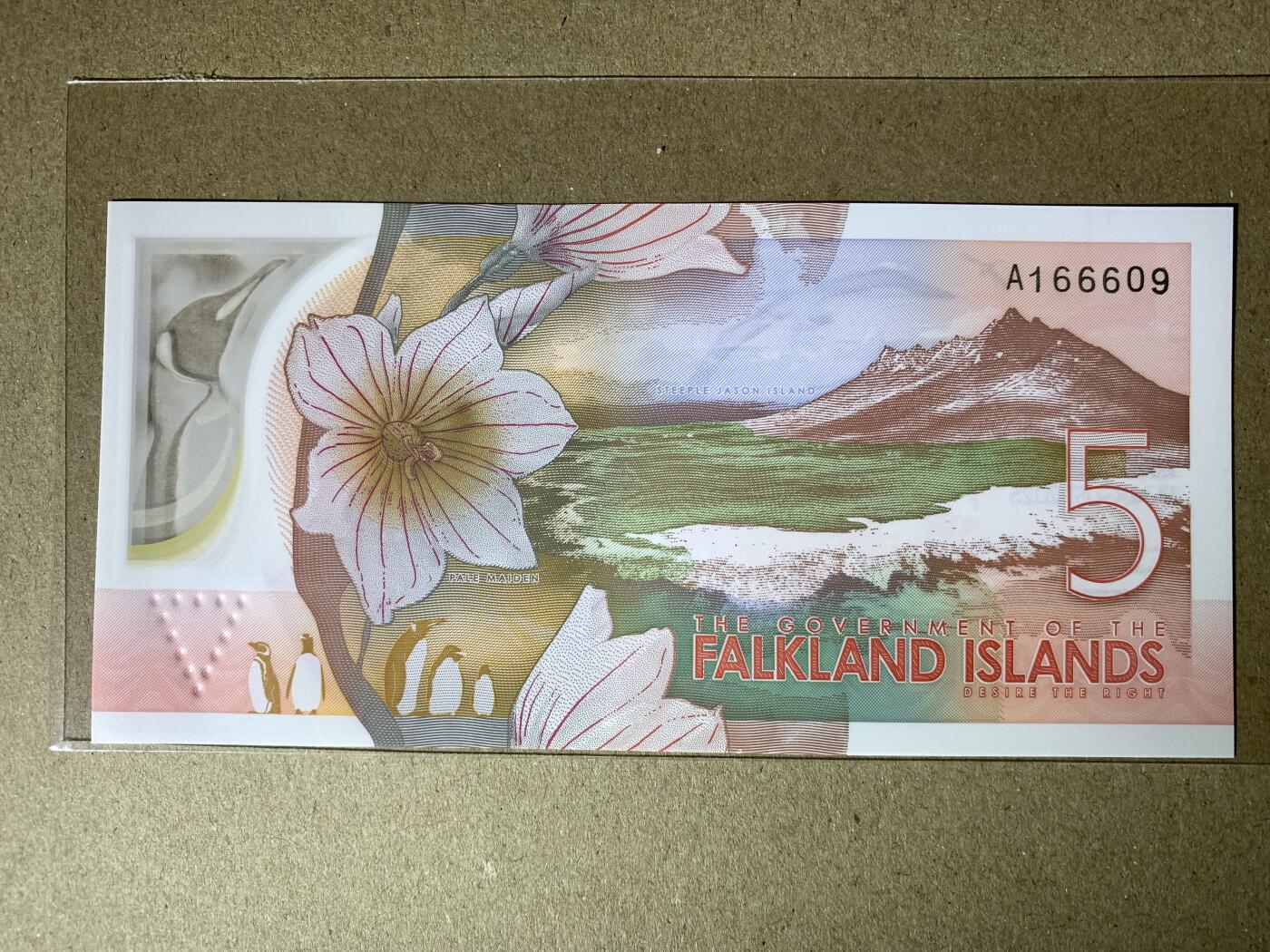 【礼羽收藏】🌏世界钱币拍卖第106期 拍卖延长30分钟 20:00开始 【A166609】全新UNC 2025年福克兰群岛5镑 塑料钞 查尔斯 首发A冠 无3457尾66609倒置号