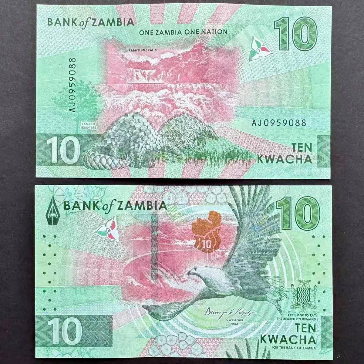 国庆放漏，无佣金 2024(2025)年 赞比亚10克瓦查纸币 全新UNC 非洲 飞鹰 P-62