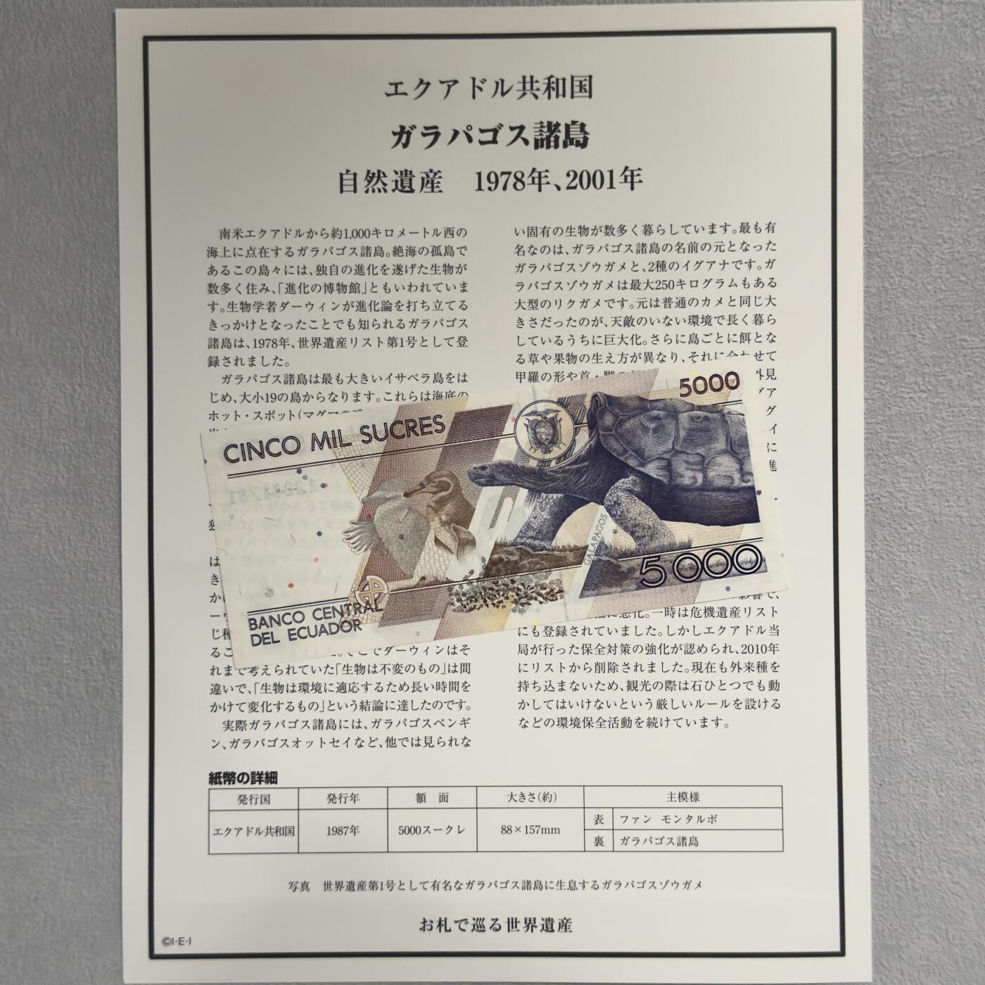 ＜小葵钱铺＞第62期·纸币场·满200包邮，不寄存·13号发货 UNC 厄瓜多尔1999年加拉帕戈斯群岛5000苏克雷纸币〈附对应纸币的世界文化遗产海报和介绍〉