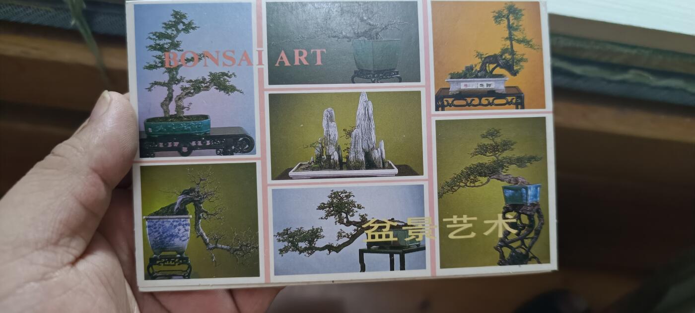 如意轩第二十一场（国庆中秋场）含送拍品 1982年广东旅游出版社发行盆景明信片10张