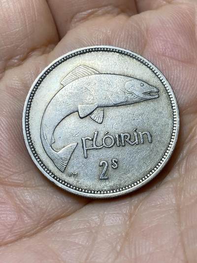 2025年第一百零六场(总第一百三十二场）外国好品散币(免佣金) - 爱尔兰🇮🇪1954年2先令(共和国时期第一套第二版)