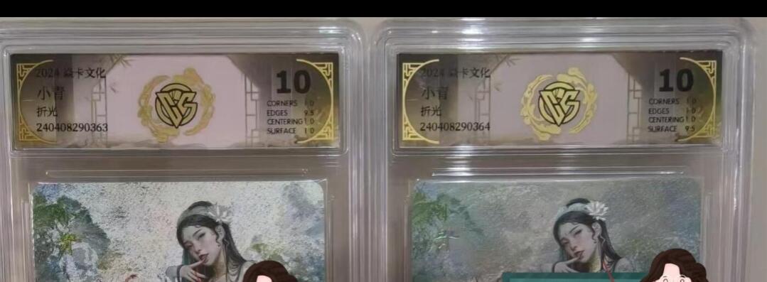 寸草不生拍卖会 第十期 燎原 刷子老师 小青一组 10分