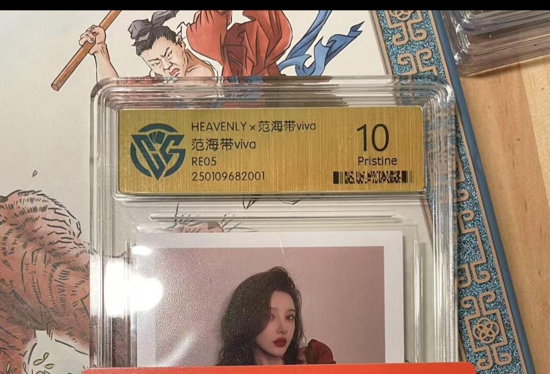 寸草不生拍卖会 第十期 HEAVENLYx范海带viva范海带viva   REO5 10p