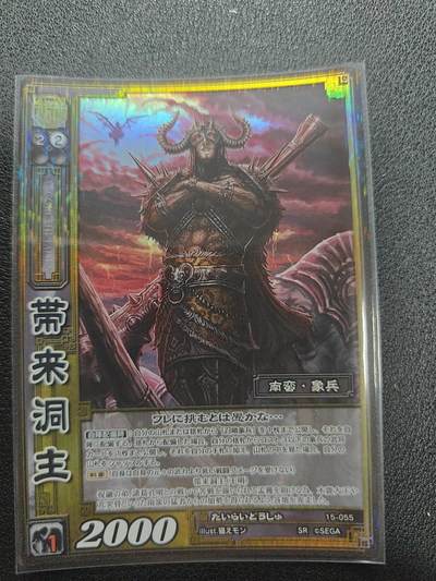 天玑星卡拍第127期《10.9周四截拍》持续收拍收评中 满赠卡需备注 - 三国志大战 SR 带来洞主 绝版闪卡